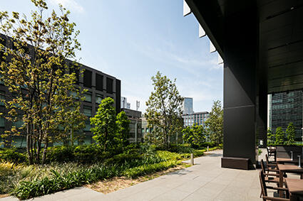 outdoor terrace space