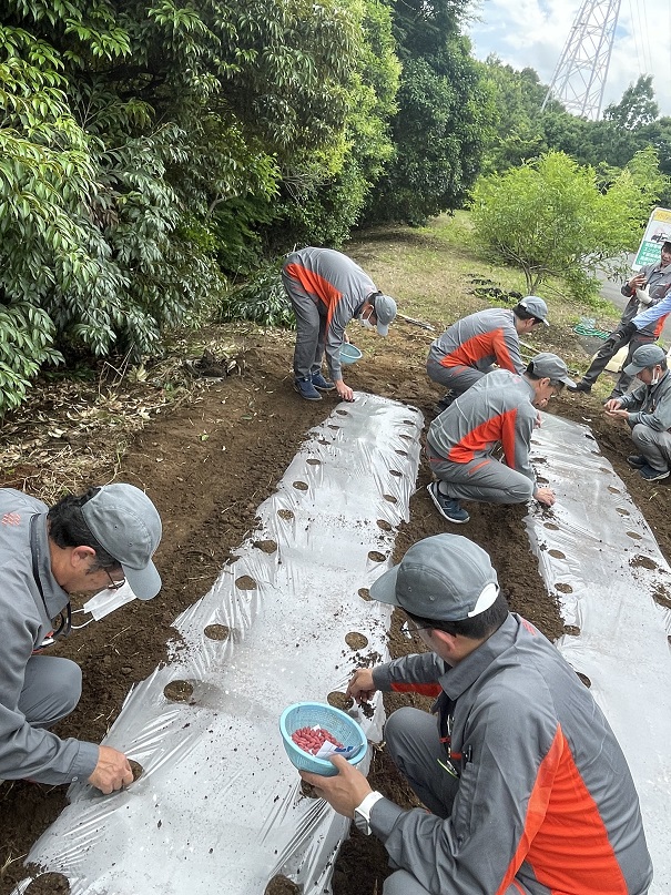 Seed planting Seed planting