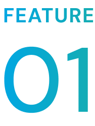 FEATURE 01