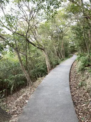 この道を抜けて豊島美術館へ