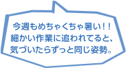 今週もめちゃくちゃ暑い！！細かい作業に追われてると、気づいたらずっと同じ姿勢。