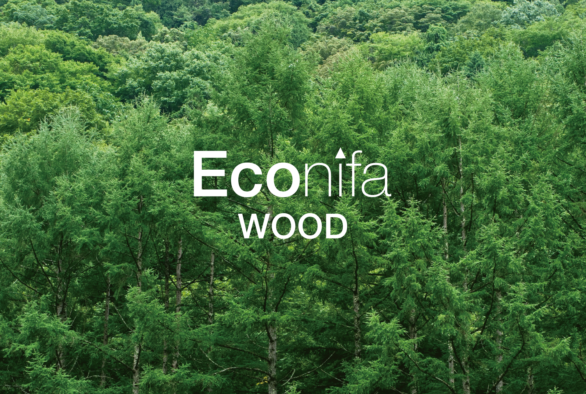 Econifa_Release visual-WOOD.jpg